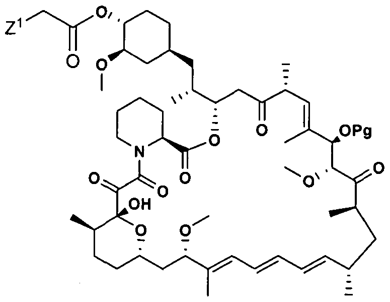 Figure imgf000030_0001