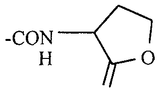 Figure imgf000005_0004