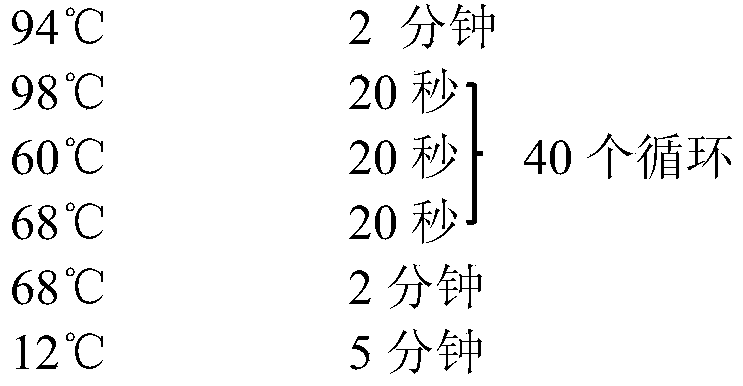 Figure PCTCN2020126747-appb-000024