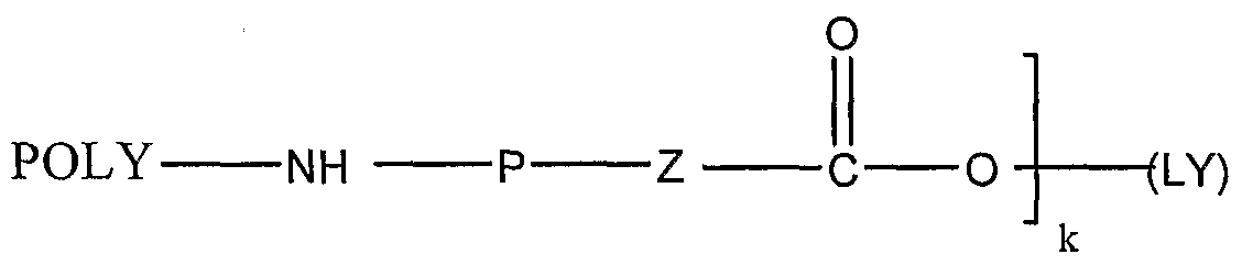 Figure imgf000006_0002
