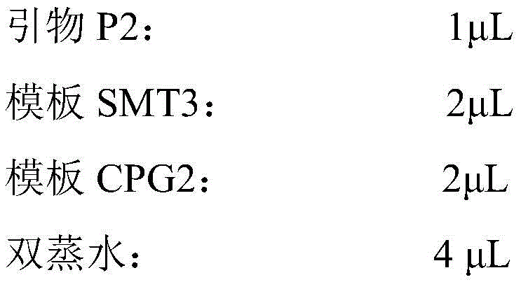 Figure BDA0002010928320000081