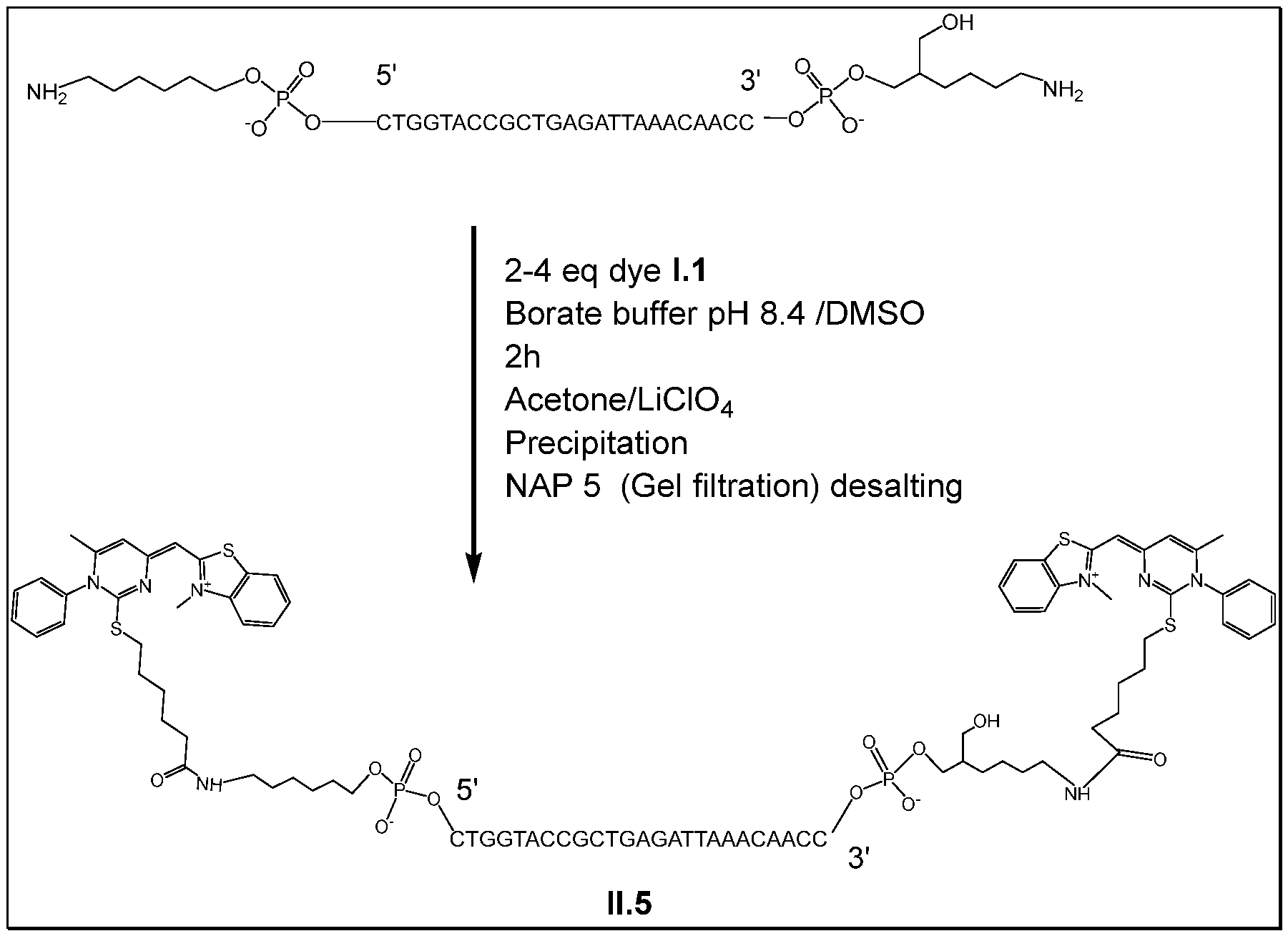 Figure imgf000093_0001