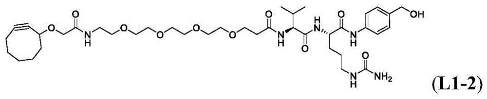 Figure BDA0003817518590000982