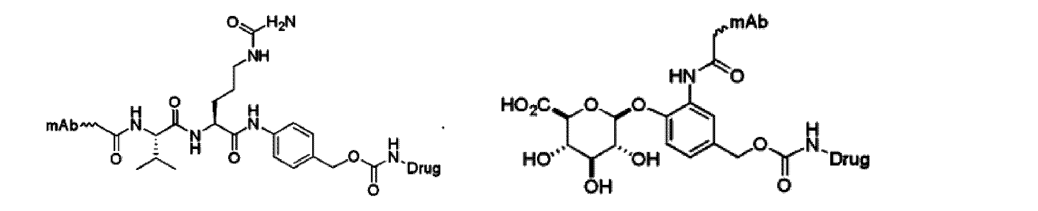 Figure imgf000003_0004