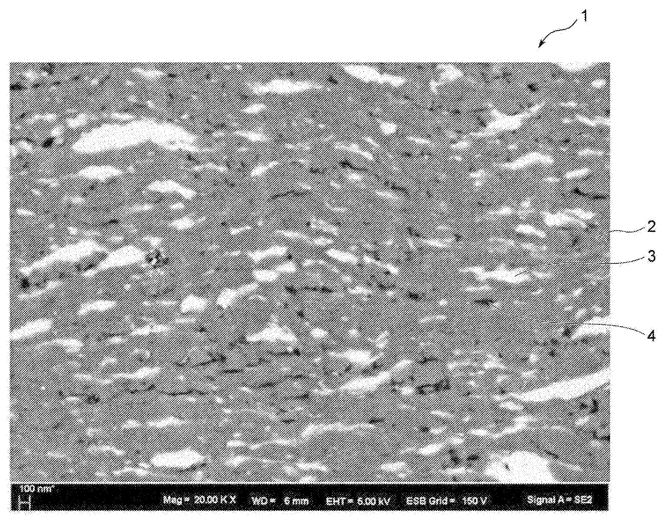 Figure R1020187023122