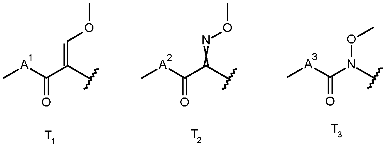 Figure imgf000007_0001