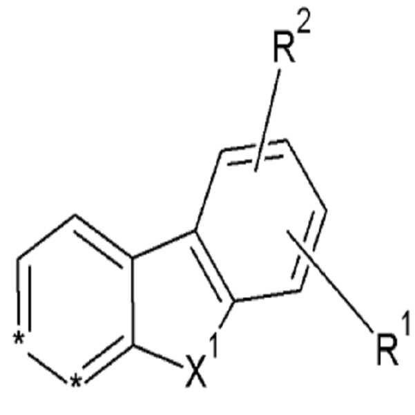 Figure 112013004952581-pat00010