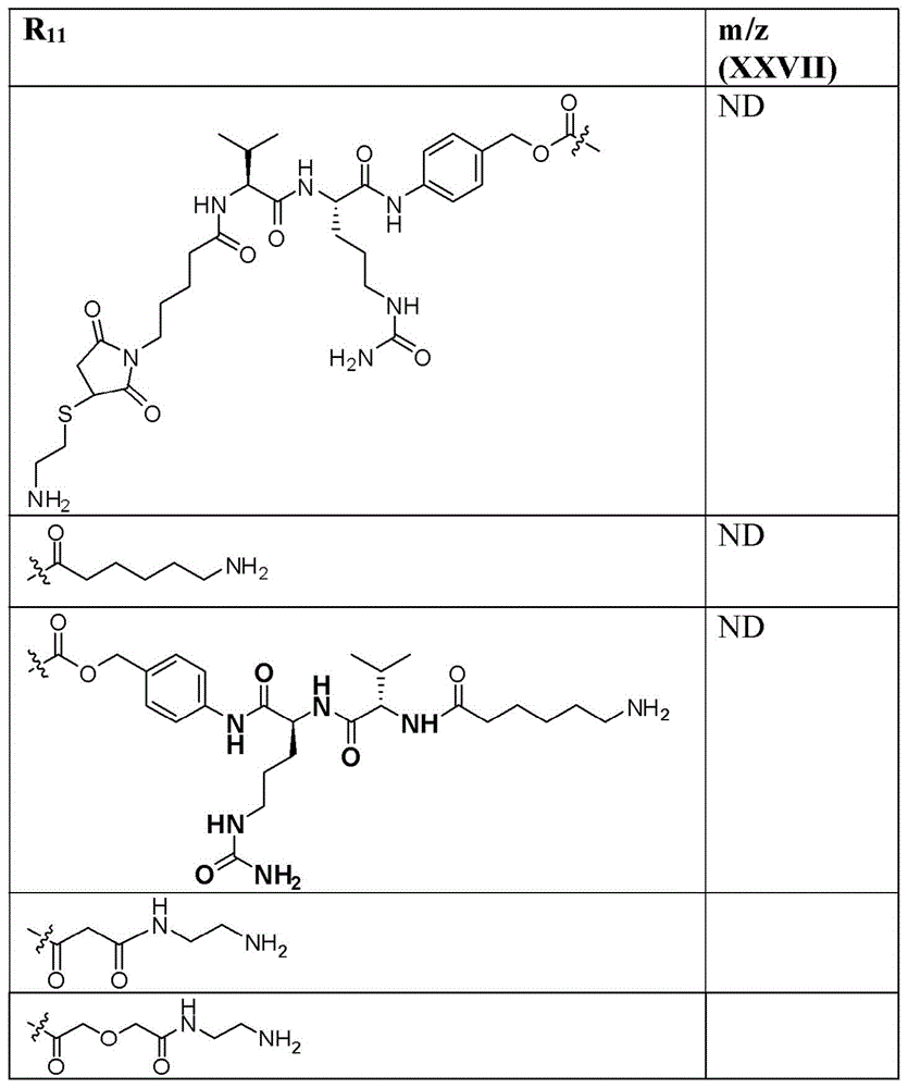Figure BDA0003135424430001431