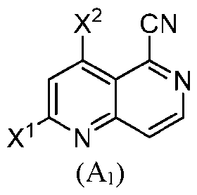 Figure imgf000021_0003