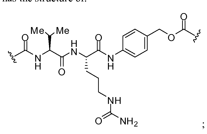 Figure imgf000004_0001