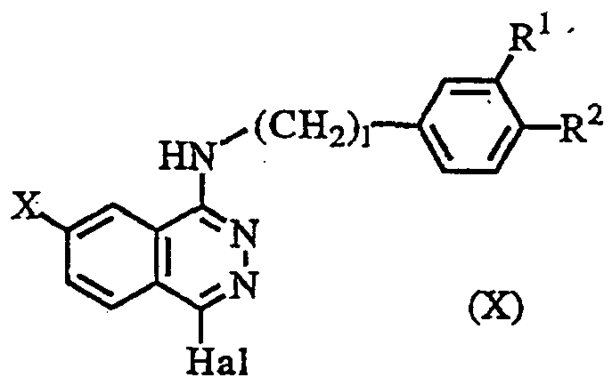 Figure imgf000009_0001
