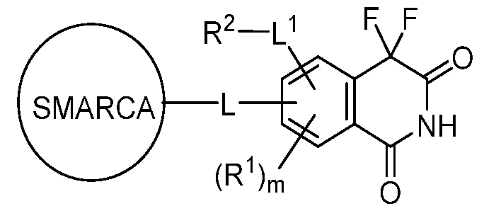 Figure imgf000178_0003