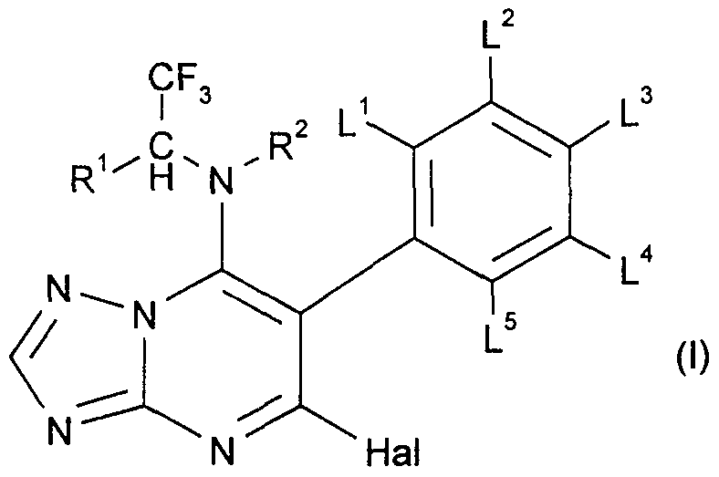 Figure imgf000006_0001