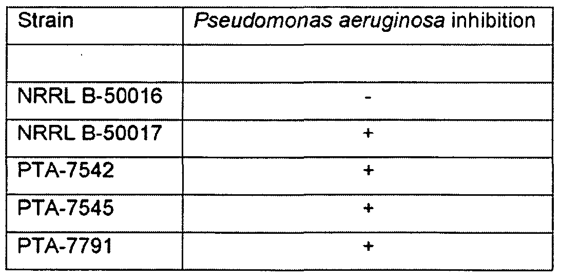 Figure imgf000025_0002