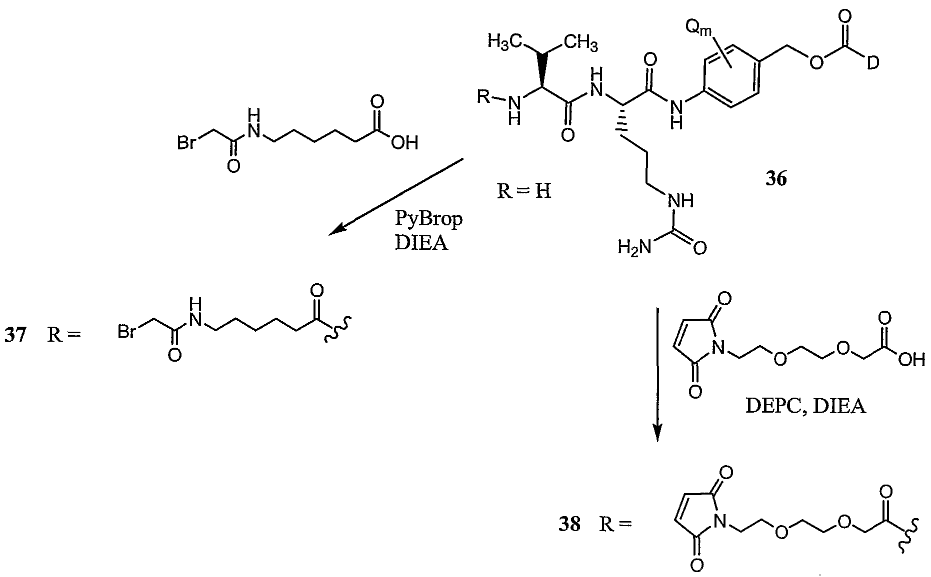 Figure imgf000149_0002