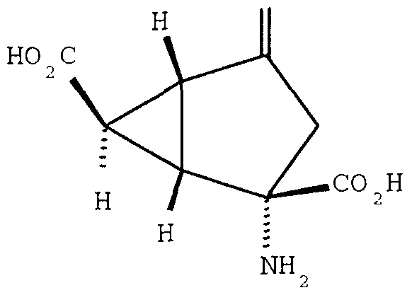 Figure imgf000060_0001