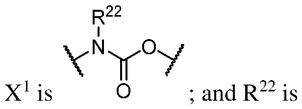 Figure imgf000081_0001