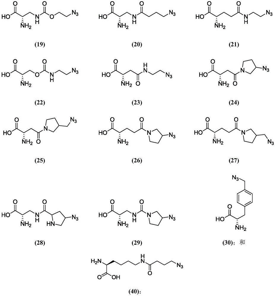 Figure BDA0003508738070000841
