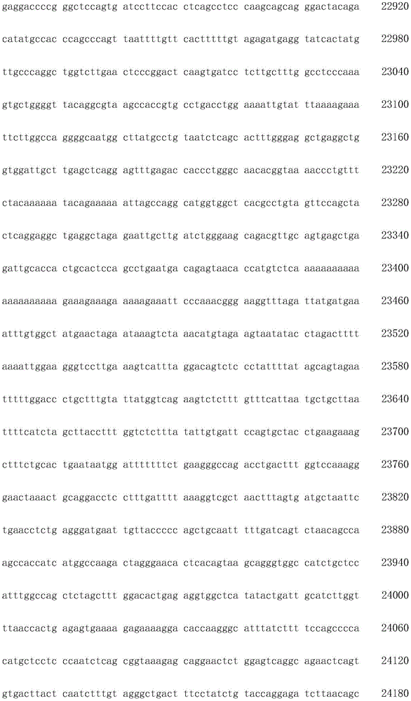 Figure IDA0003936212790000371