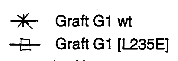 Figure imgf000021_0001