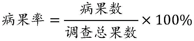 Figure GDA0003422119740000162