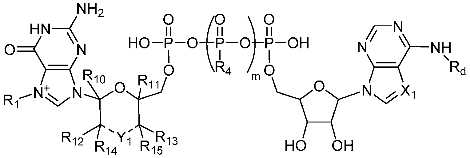 Figure imgf000135_0001