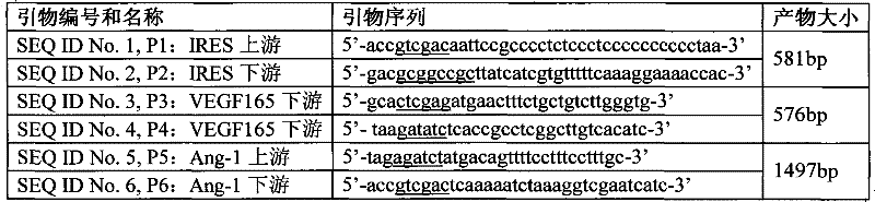 Figure BSA00000244122200071