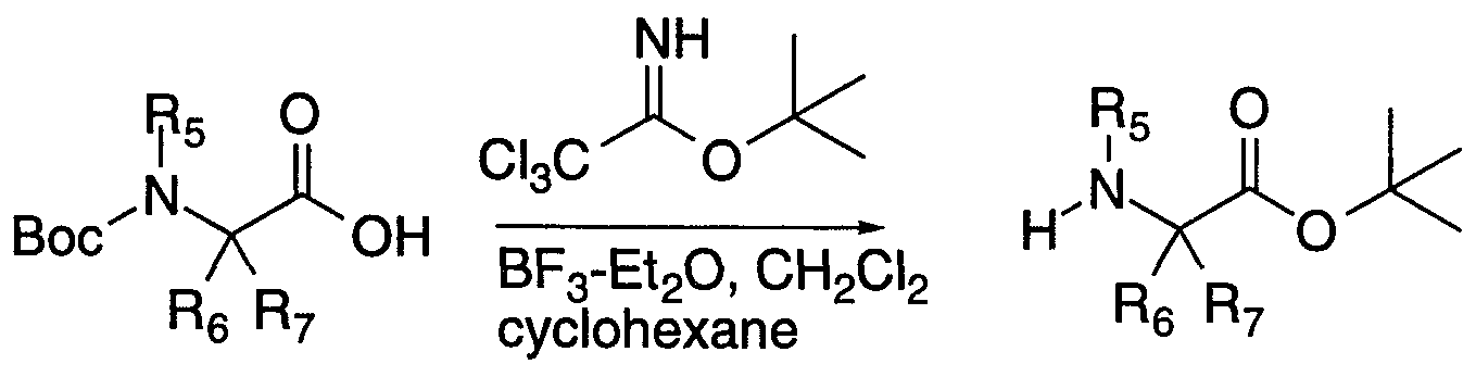 Figure imgf000031_0001