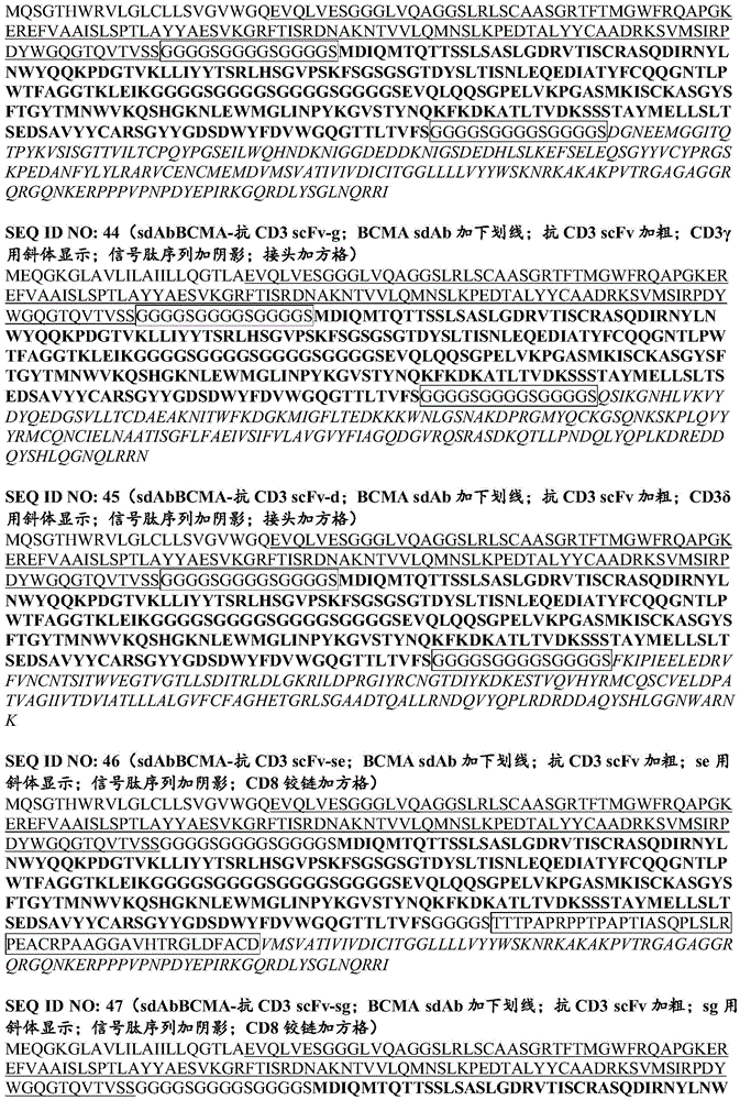 Figure BDA0003115131290001771