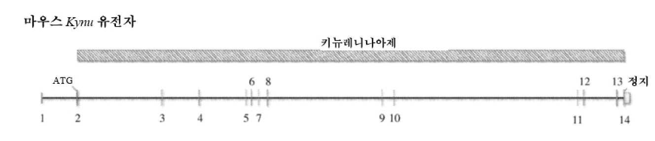 Figure P1020187026249