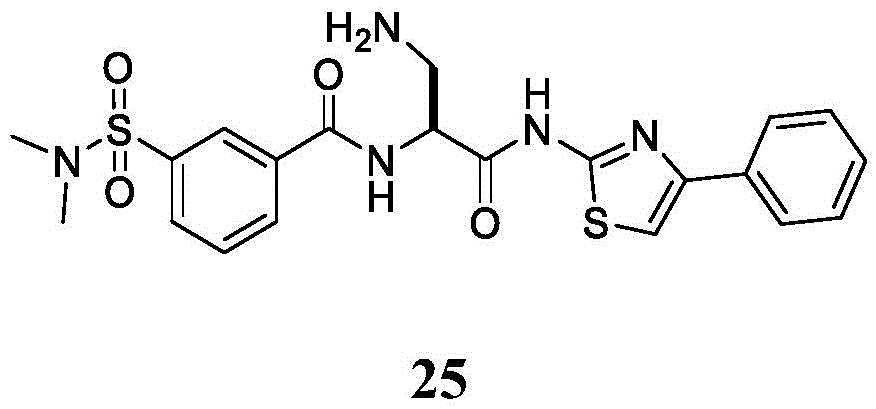 Figure BDA0002710254920001572