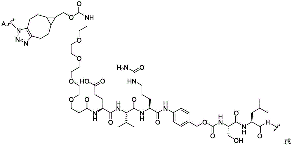 Figure BDA0003169092350000654