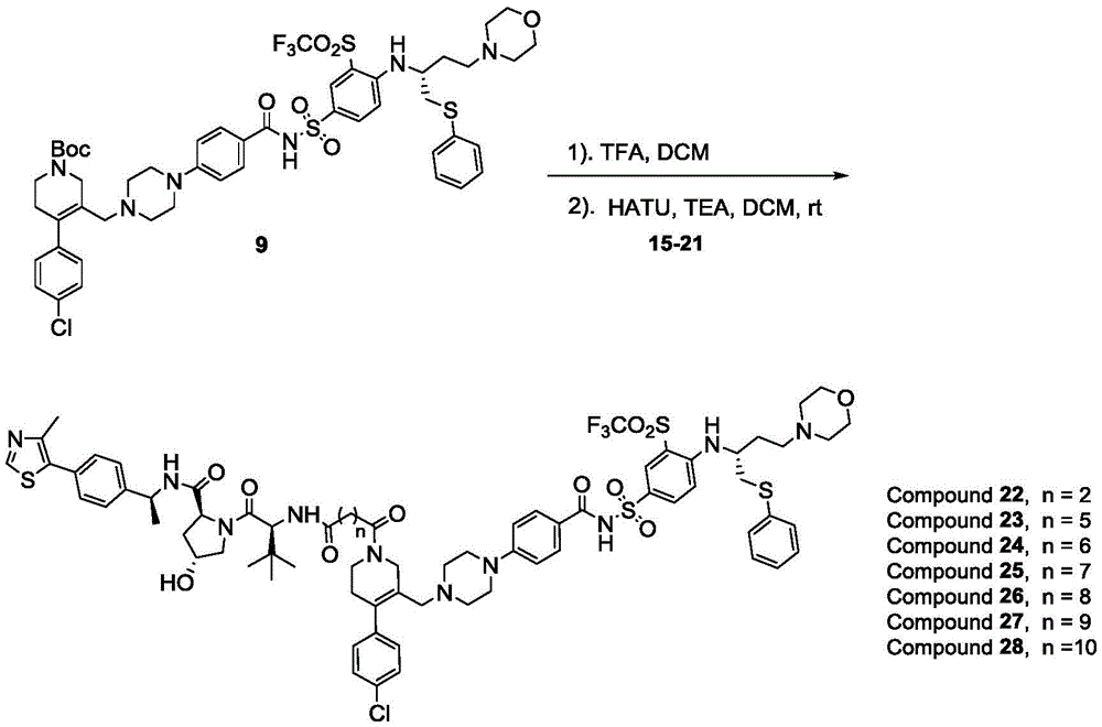 Figure BDA0003293294510000551