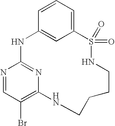 Figure US20040209895A1-20041021-C00107