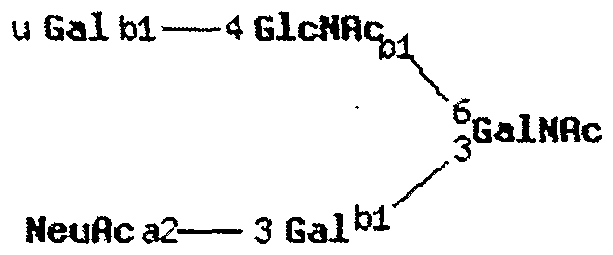 Figure imgf000206_0001