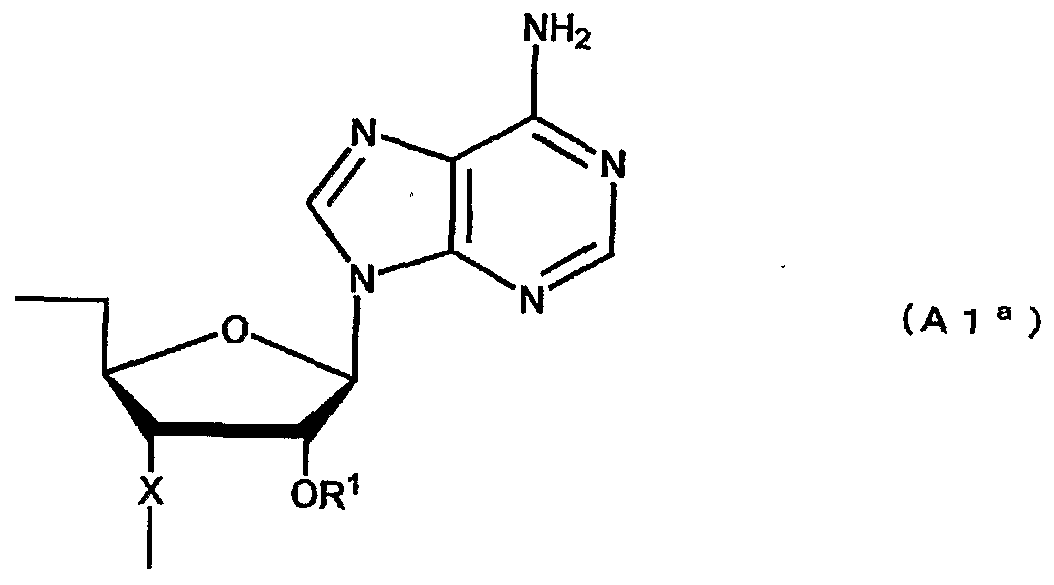 Figure imgf000012_0002