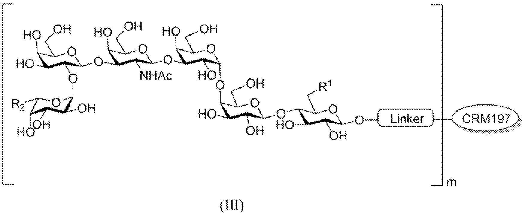 Figure imgf000006_0001