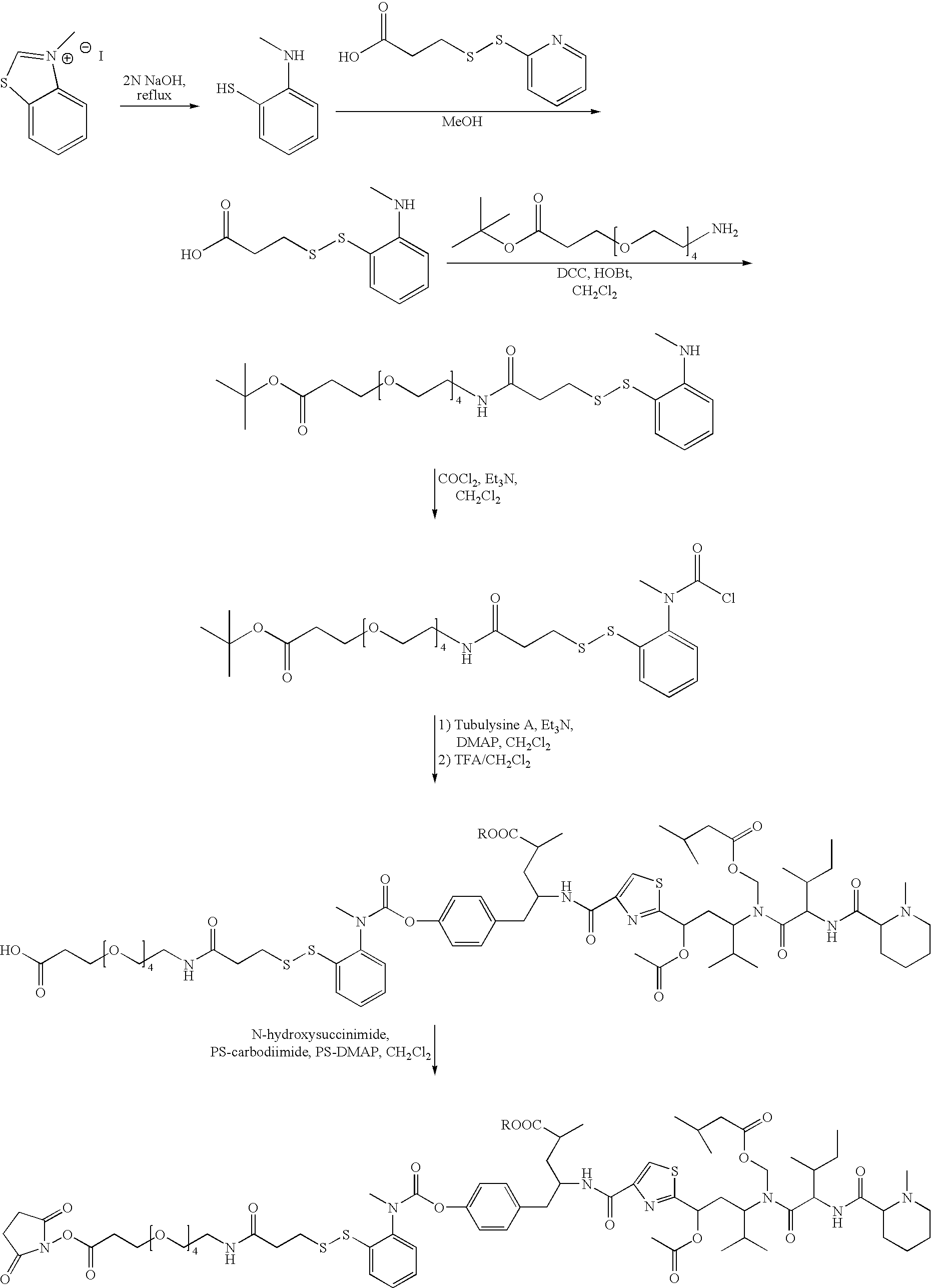 Figure US20080279868A1-20081113-C00124