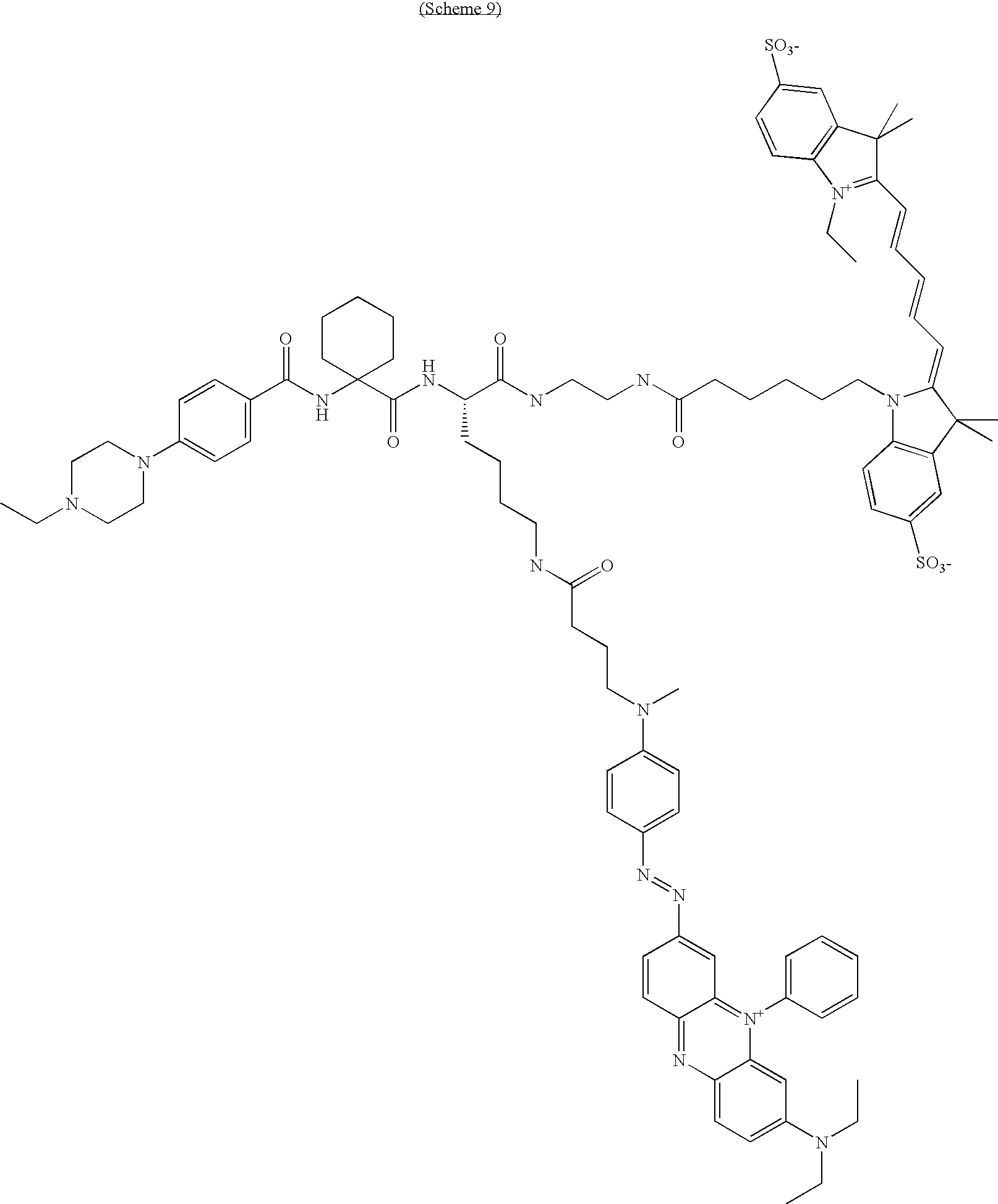 Figure US20100189658A1-20100729-C00029