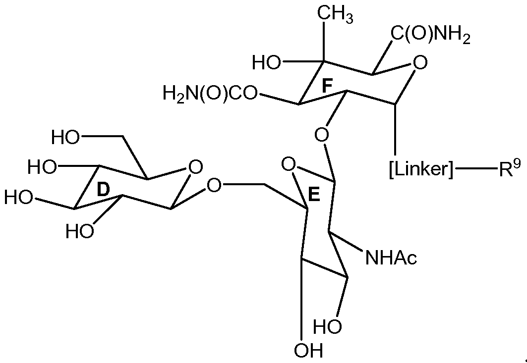 Figure imgf000063_0001