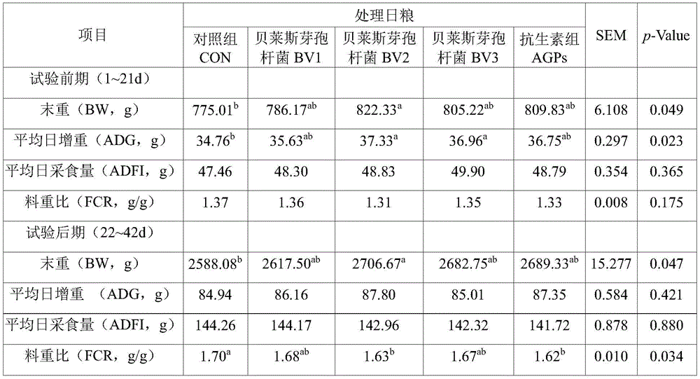 Figure BDA0003366900090000111
