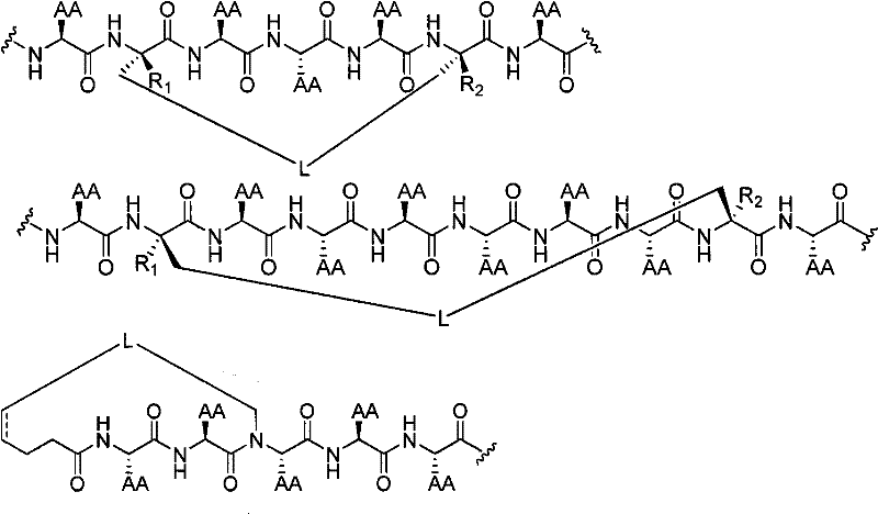 Figure BPA00001350912100242