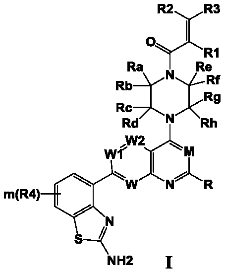 Figure PCTCN2020127861-appb-000001