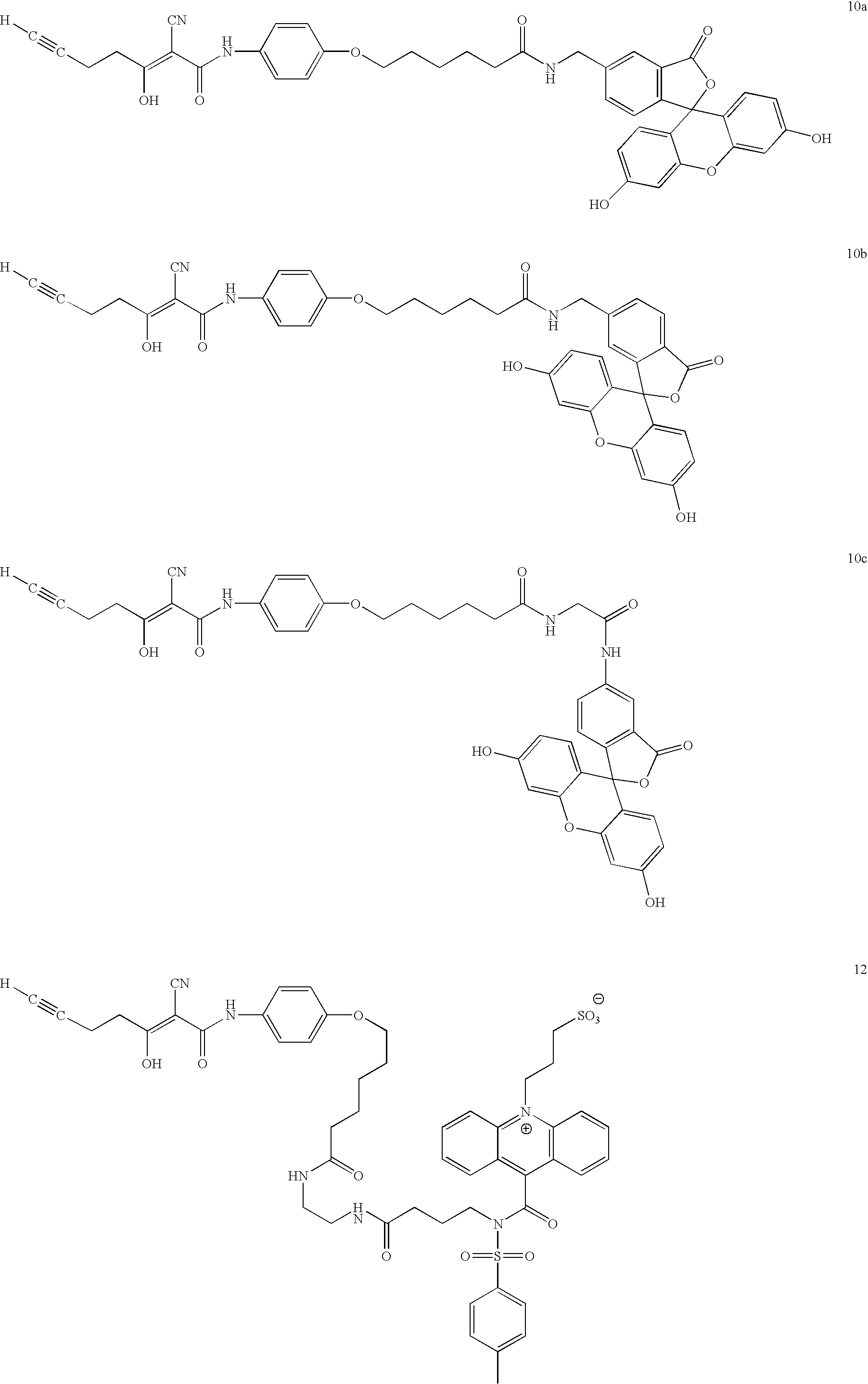 Figure US20070269841A1-20071122-C00002