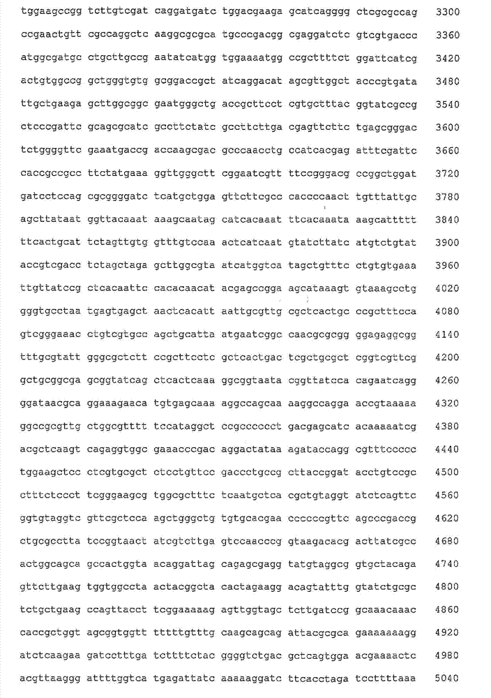 Figure IDA00002839665300511