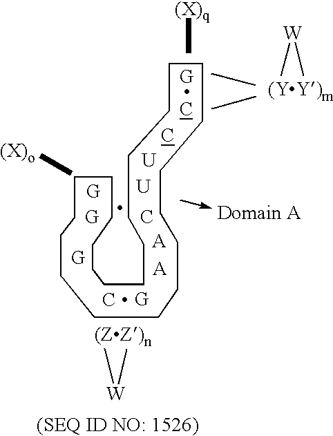 Figure US20030004122A1-20030102-C00003