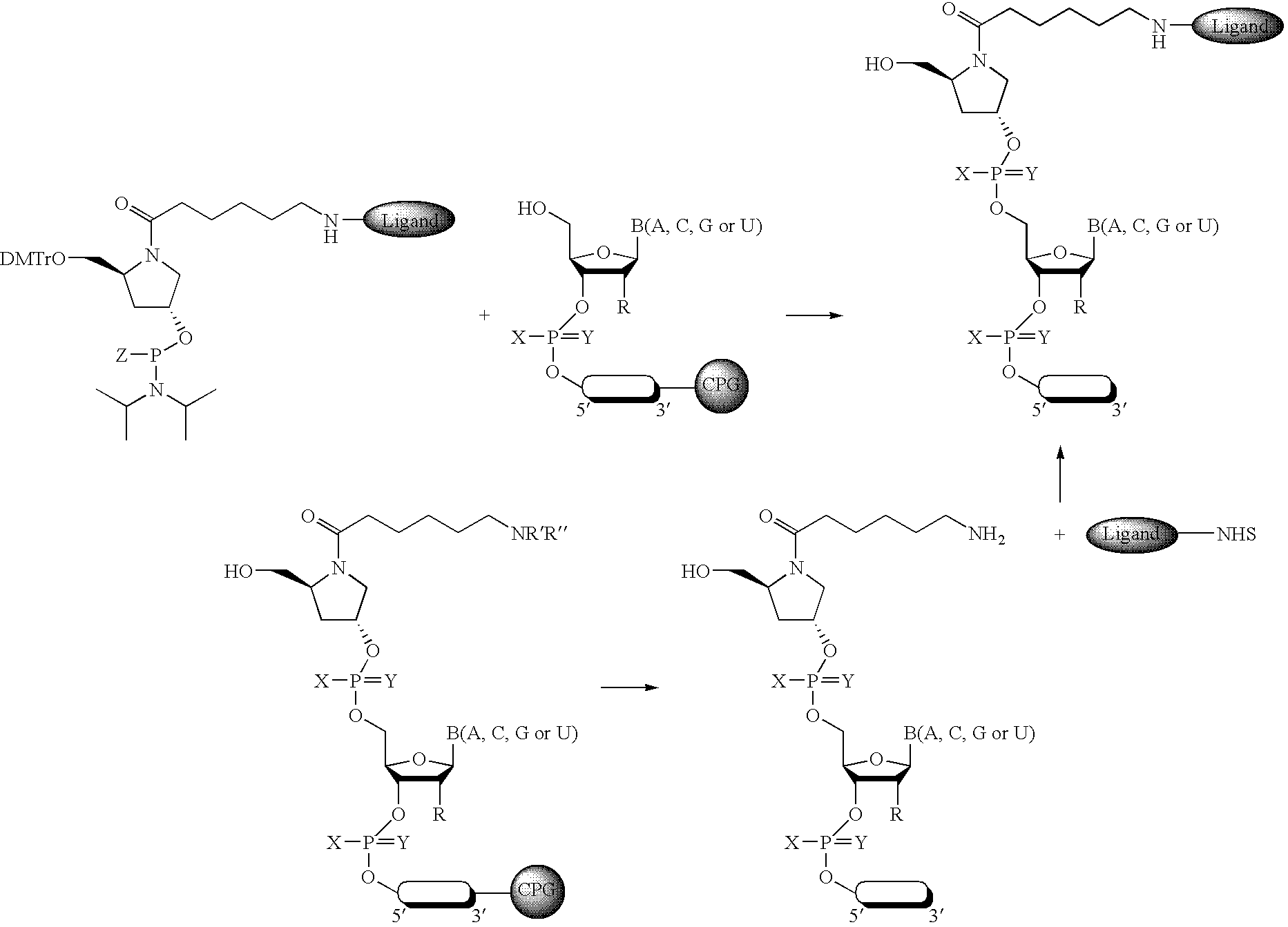 Figure US20070105803A1-20070510-C00058