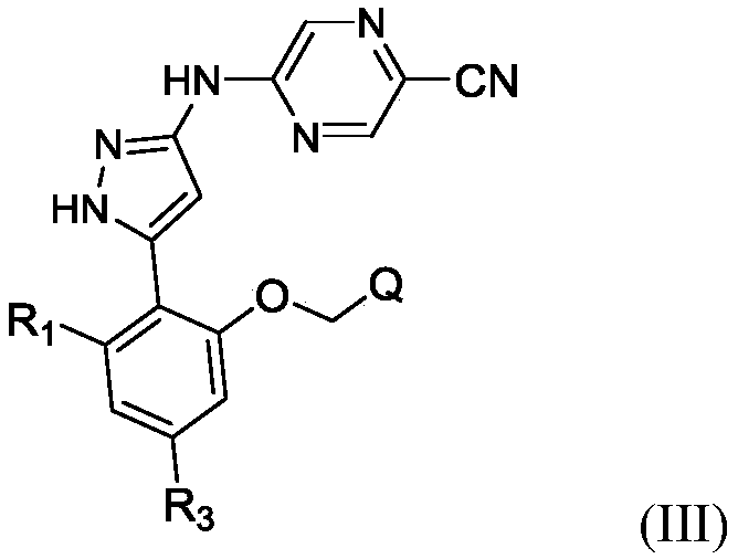 Figure PCTCN2020113233-appb-100006