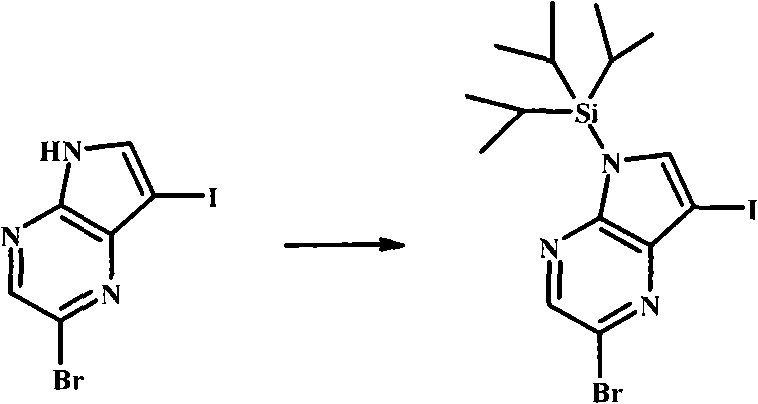Figure BPA00001207418600961
