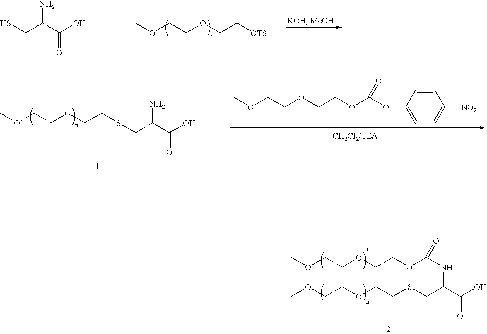 Figure US20070014759A1-20070118-C00063